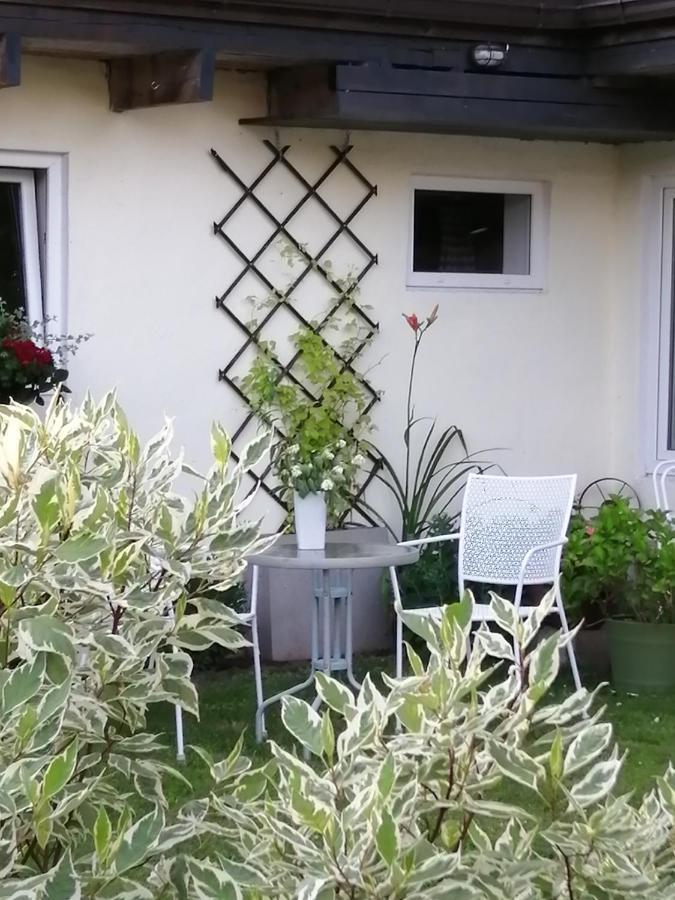 Secret Garden House In The Center Of Sigulda别墅 外观 照片