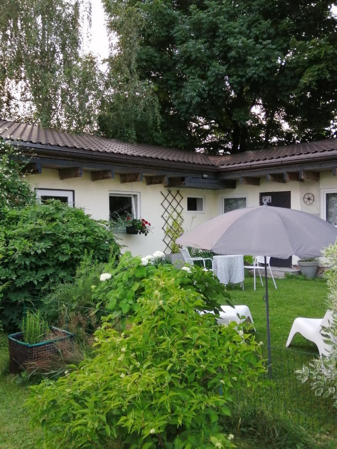 Secret Garden House In The Center Of Sigulda别墅 外观 照片