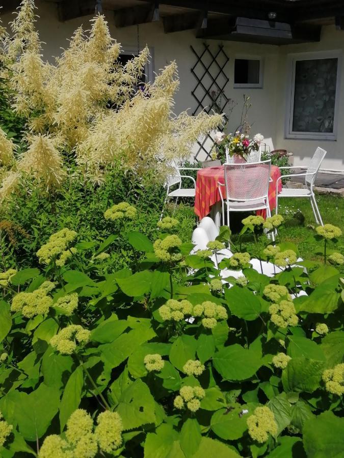 Secret Garden House In The Center Of Sigulda别墅 外观 照片