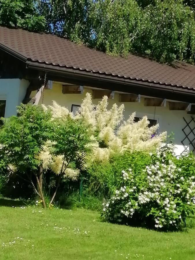 Secret Garden House In The Center Of Sigulda别墅 外观 照片